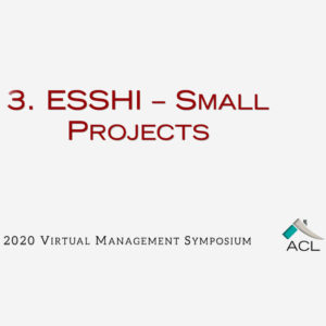 3. ESSHI - Small Projects